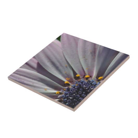 Die Blume innerhalb Fliese (Seite)