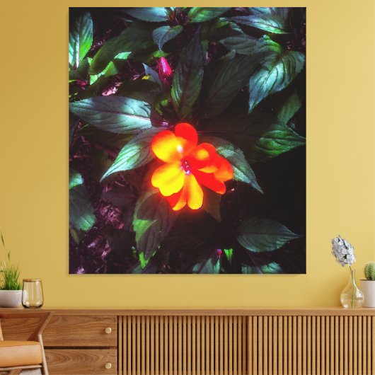 Die Blume leuchtet bei Sonnenlicht Leinwanddruck (Insitu (Wohnzimmer))