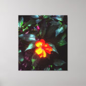 Die Blume leuchtet bei Sonnenlicht Leinwanddruck (Vorderseite)