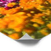 Die Blume Pickers Poster (Ecke)