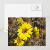 Die Blume und die Biene Postkarte (Vorne/Hinten)