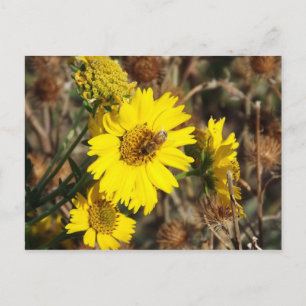 Die Blume und die Biene Postkarte