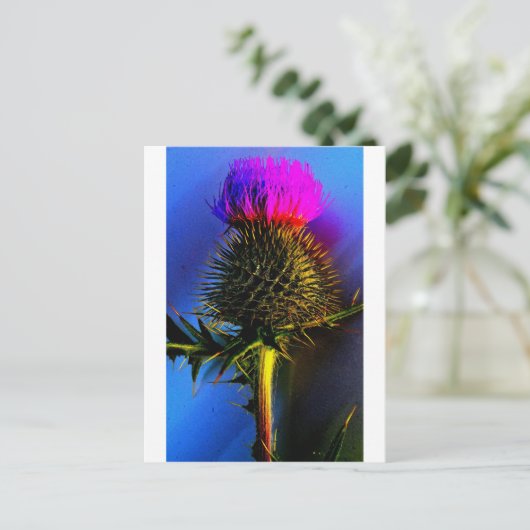 Die Blume von Schottland. Postkarte (Stehend Vorderseite)