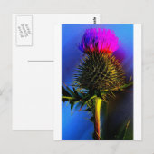 Die Blume von Schottland. Postkarte (Vorne/Hinten)