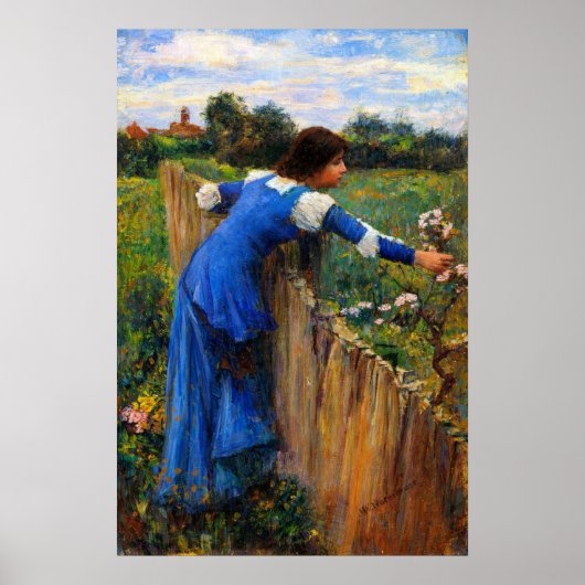 Die Blumenpflückerin von John William Waterhouse Poster (Vorne)