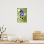 Die Blüte einer Kamellilie im Landkreis Valley, Poster (Küche)