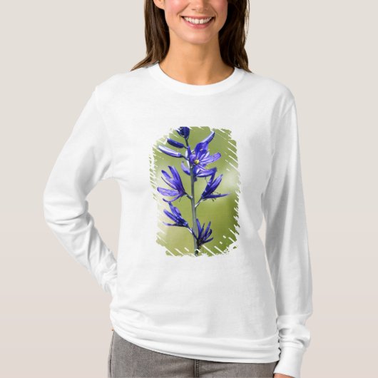 Die Blüte einer Kamellilie im Landkreis Valley, T-Shirt (Vorderseite)