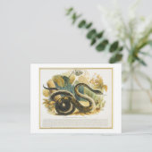 Die Boa Constrictor, pädagogische Illustrationsstä Postkarte (Stehend Vorderseite)