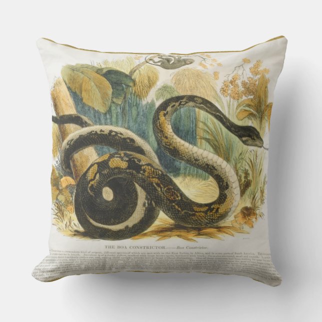 Die Boa constrictor, pädagogischer Illustration Kissen (Vorderseite)