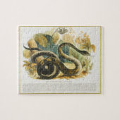 Die Boa constrictor, pädagogischer Illustration Puzzle (Horizontal)