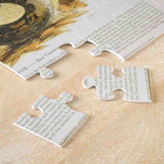 Die Boa constrictor, pädagogischer Illustration Puzzle (Seite)