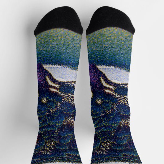 Die Bonaventure Pine - Paul Signac Socken (Oben)