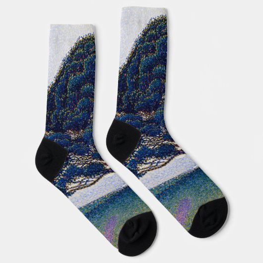 Die Bonaventure Pine - Paul Signac Socken (Rechts)