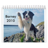 Die Border-Collie 2010 Kalender (Titelbild)