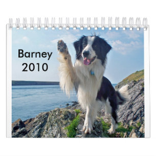 Die Border-Collie 2010 Kalender