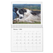 Die Border-Collie 2010 Kalender (Feb 2026)