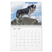 Die Border-Collie 2010 Kalender (Mär 2026)