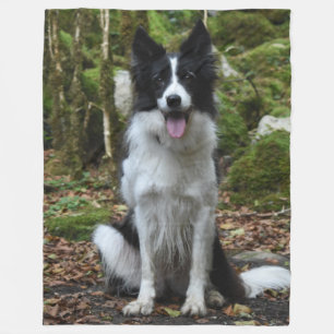 Die BORDER-COLLIE Fleecedecke