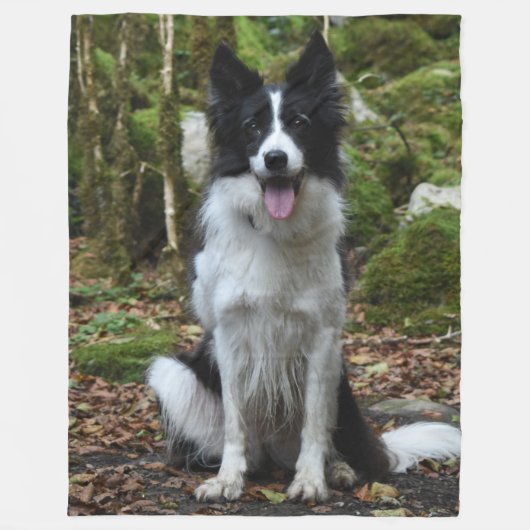 Die BORDER-COLLIE Fleecedecke (Vorderseite)