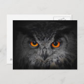 Die bösen Augen. (Adleruschel, Bubo Bubo) Postkarte (Vorne/Hinten)