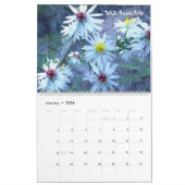 Die botanische Kunst von Shelli Fitzpatrick Kalender (Jan 2026)