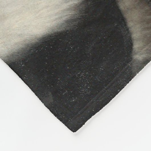 Die Botschafter, Holbein die Jüngeren Fleecedecke (Ecke)