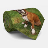 DIE BOXER-HUND-Krawatte Krawatte (Gerollt)