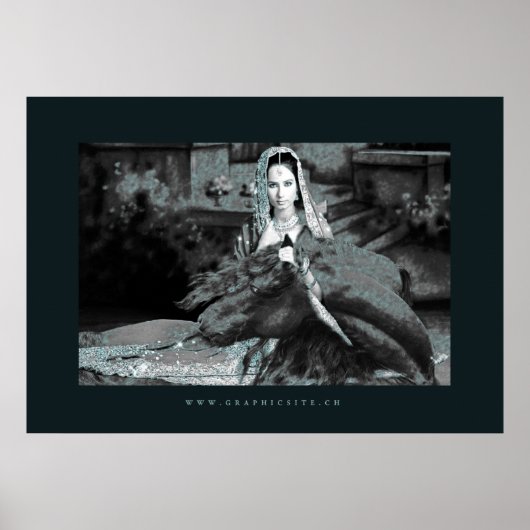 Die Braut - Poster (Vorne)