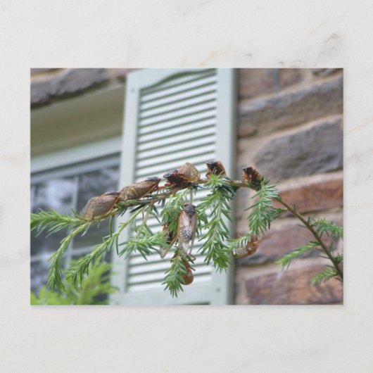 Die Breite X Postkarte (Vorderseite)