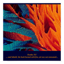 Die Brennende Bush-Abstrakt