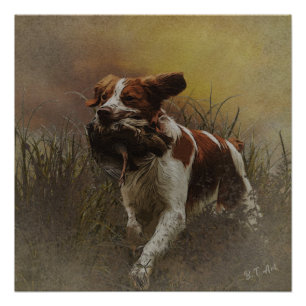 Die Bretagne spaniel Keramik Tile Beverage Coas Poster