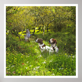 Die Bretagne-Spaniels, die Vogeljagdsaison Poster