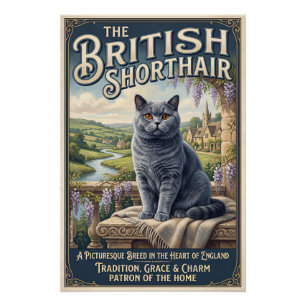 Die Britisch Kurzhaar Poster