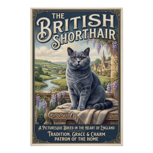 Die Britisch Kurzhaar Poster (Vorderseite)