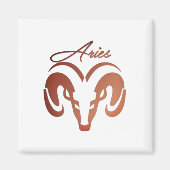 Die Bronze reißt die Strömung der Zodiac Magnet (Vorne)