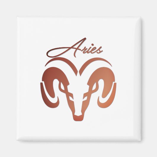 Die Bronze reißt die Strömung der Zodiac Magnet (Vorne)