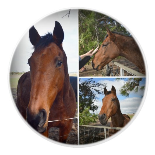 die Brown Horses Collage, Keramikknauf (Vorderseite)