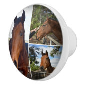 die Brown Horses Collage, Keramikknauf (Rechts)