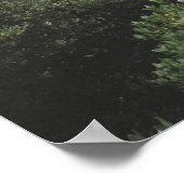 Die Brücke des Gard Poster (Ecke)