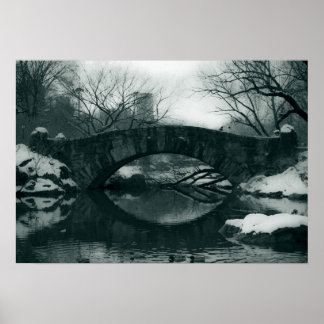 Die Brücke im Central Park Poster