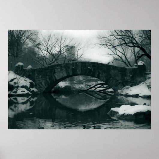 Die Brücke im Central Park Poster (Vorne)