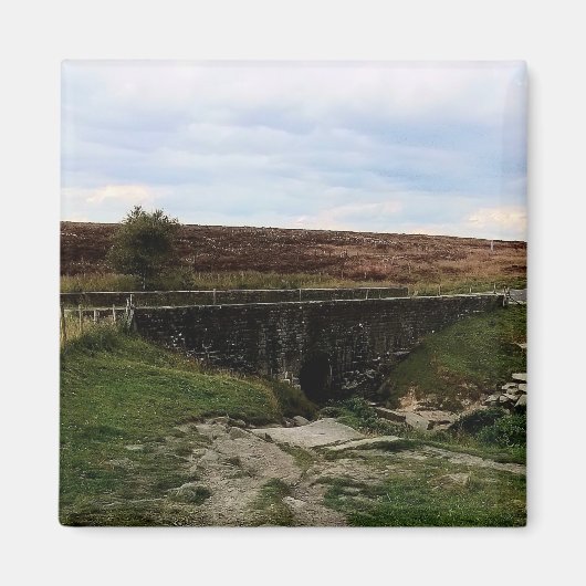 Die Brücke im Grünen Magnet (Vorne)