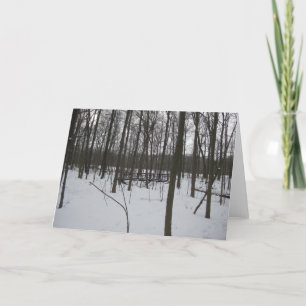 Die Brücke im Schnee Feiertagskarte