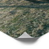 Die Brüder der Donkey Poster (Ecke)