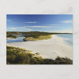 Die Bucht der Brände an der Ostküste von Tasmanien Postkarte