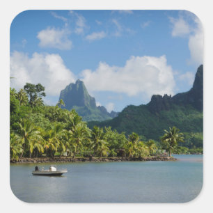 Die Bucht des Kochs, Moorea quadratischer Aufkleber