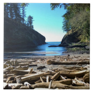 Die Bucht des Toten, die Enttäuschung des Kap, die Fliese