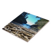 Die Bucht des Toten, die Enttäuschung des Kap, die Fliese (Seite)