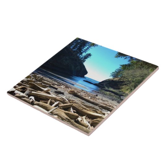 Die Bucht des Toten, die Enttäuschung des Kap, die Fliese (Seite)