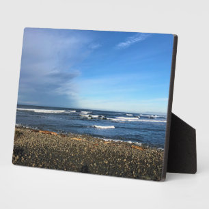 Die Bucht direkt am Meer, Oregon Fotoplatte